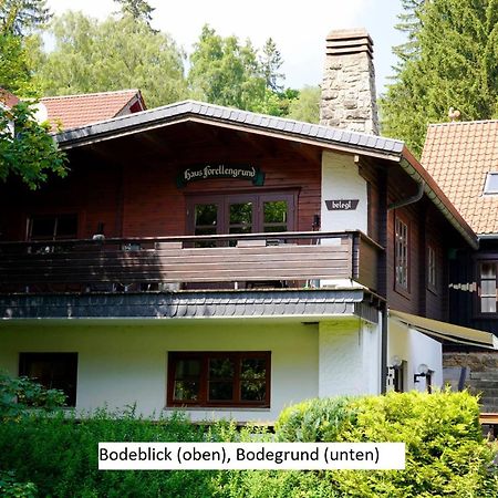 Ferienwohnungen Forellengrund Schierke Exterior photo