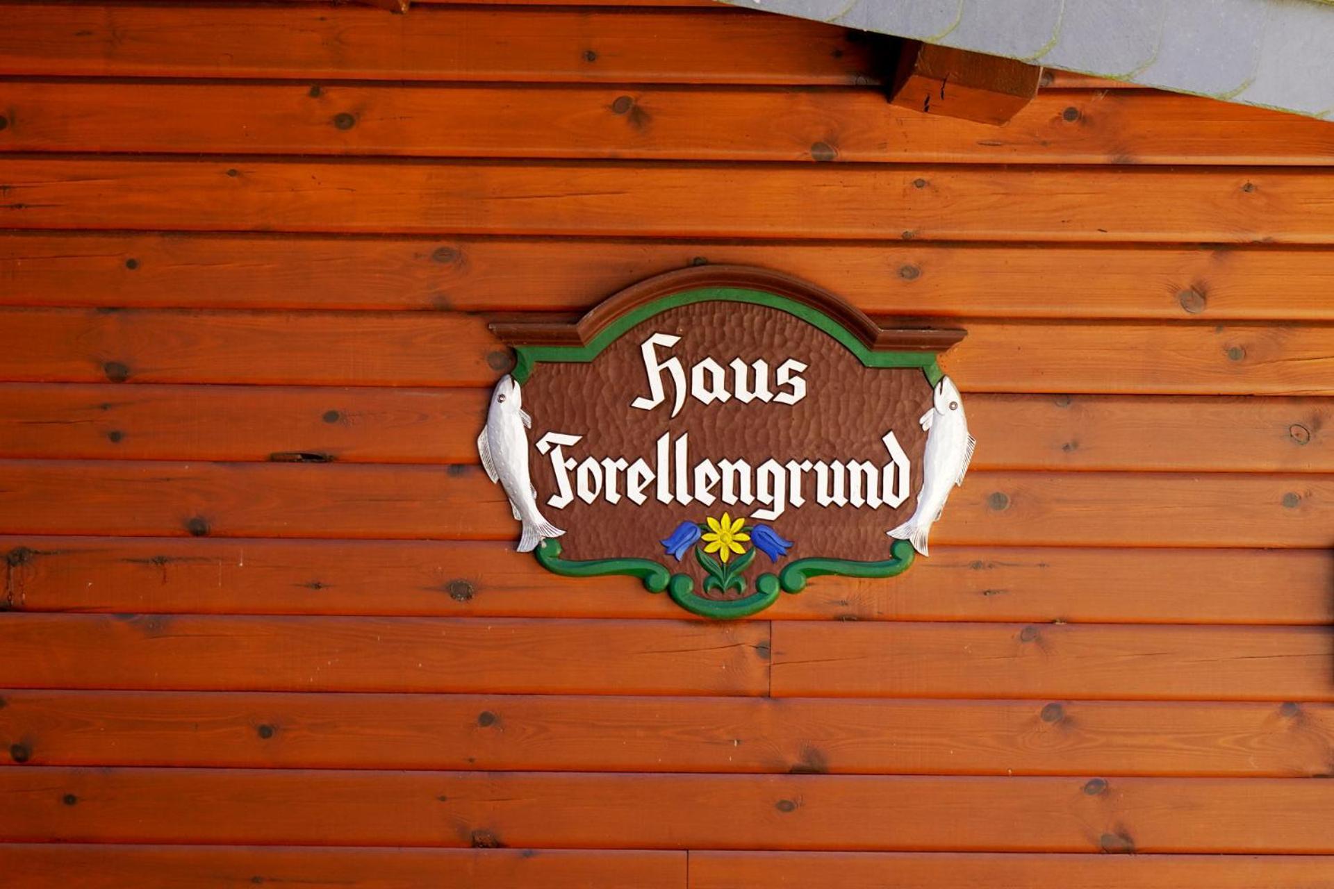 Ferienwohnungen Forellengrund Schierke Exterior photo